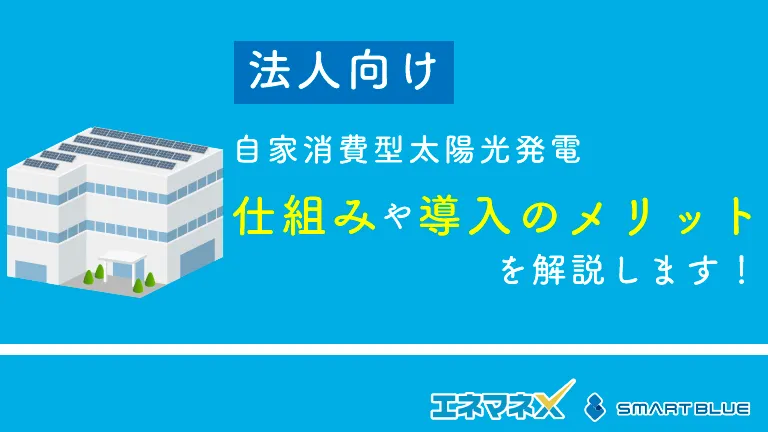 【法人向け】自家消費型太陽光発電を解説｜仕組みや導入のメリットを紹介