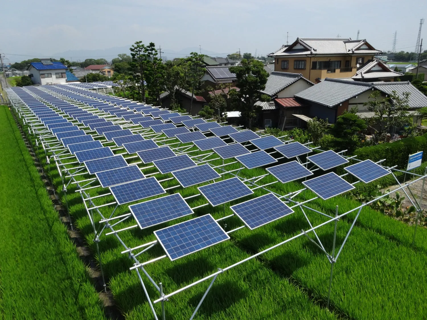 ソーラーシェアリング事例｜法人向け太陽光発電の補助金